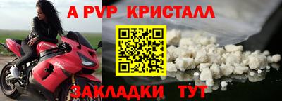 шишки Старая Купавна